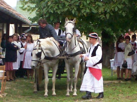 100_4604.jpg