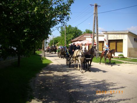 imgp0455.jpg