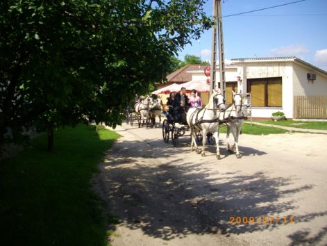 imgp0459.jpg