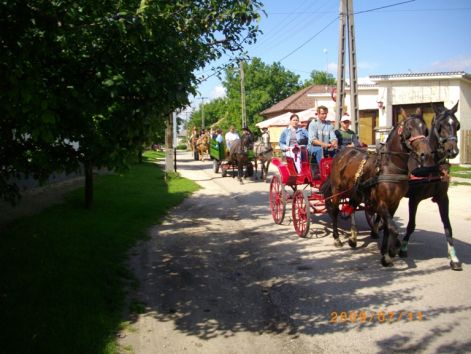 imgp0463.jpg