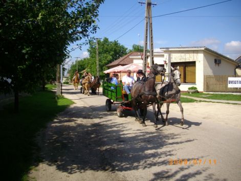 imgp0464.jpg
