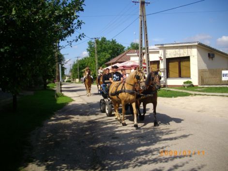 imgp0465.jpg