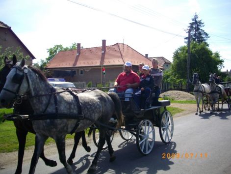imgp0475.jpg