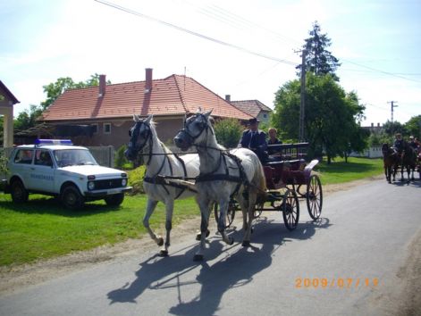 imgp0476.jpg