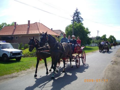imgp0477.jpg