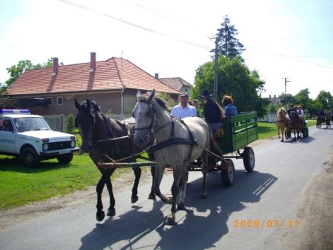 imgp0478.jpg