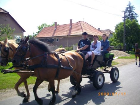 imgp0479.jpg