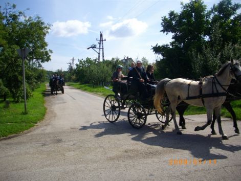 imgp0484.jpg