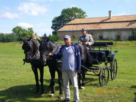 imgp0509.jpg
