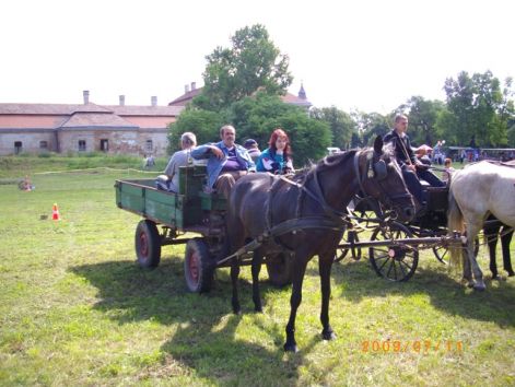imgp0512.jpg