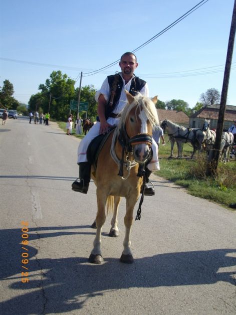 imgp1616.jpg