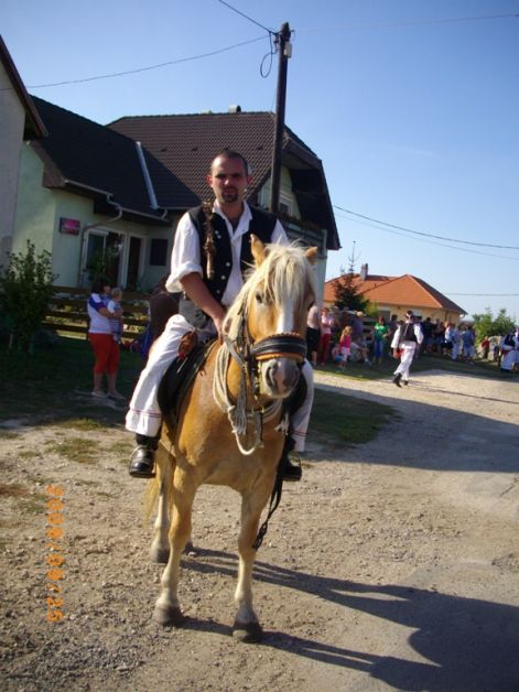 imgp1618.jpg